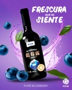 Jugo Líquido Arándano Pure Blueberry Hgw 