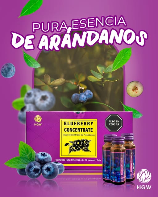 Blueberry Concentrate Hgw x10