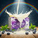 Lactiberry de HGW – Jugo de Arándano y Té Negro