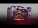 Lactiberry de HGW – Jugo de Arándano y Té Negro