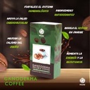 Café con Ganoderma – Ganoderma Soluble Coffee de HGW