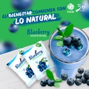 Proteína de Soya y Arándanos HGW – Blueberry Soy Protein Powder
