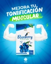 Proteína de Soya y Arándanos HGW – Blueberry Soy Protein Powder