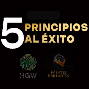 5 PRINCIPIOS PARA EL ÉXITO 💎
